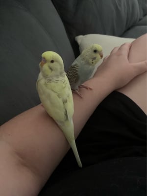 Picture of Moon Unit and Takito