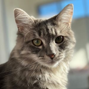 Picture of Lorelai Gilmore