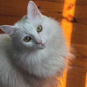 Picture of Zoe