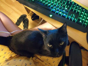 Picture of Ruby