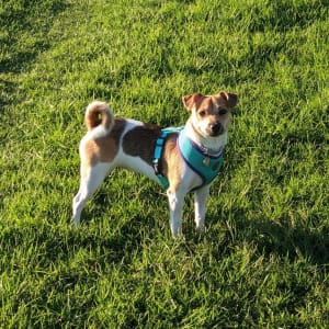 Picture of Zoe