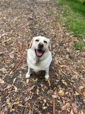 Picture of Lucy