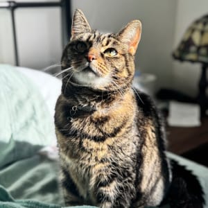 Picture of Xya