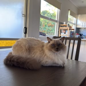 Picture of George