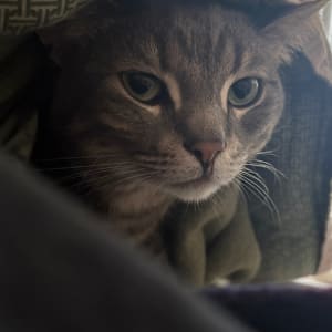 Picture of E.K.