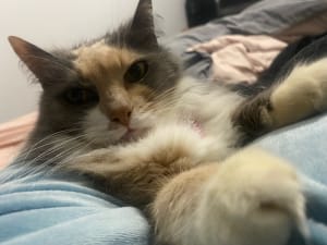 Picture of Keiko