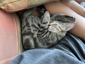 Picture of Alex