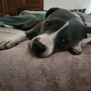 Picture of Gabby