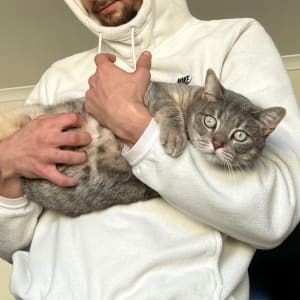 Picture of Sweetheart