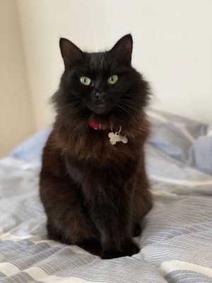Picture of Lexi