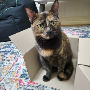Picture of Baby
