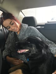 Dog Grooming Frankston Madpaws