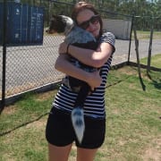 Cat Feeding Toowoomba Madpaws