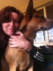 Bayside Pet Resort Madpaws