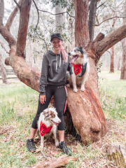 Dog Day Care Adelaide 75 Pet Sitters Madpaws