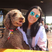 Dog House Sitters Perth 47 Pet Sitters Madpaws