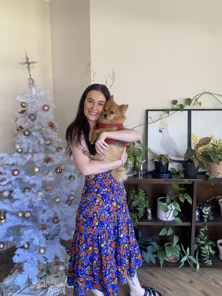 Photo in Sitter's gallery