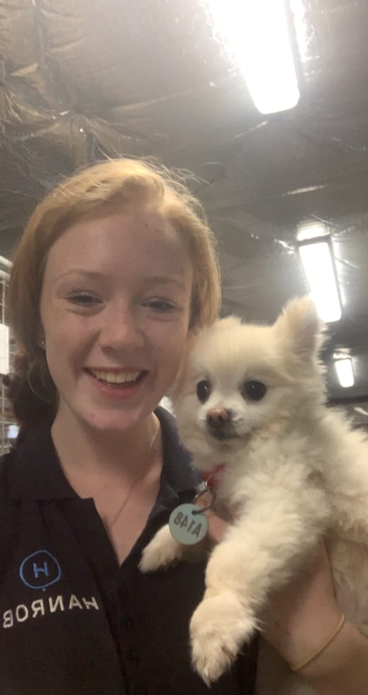 Photo in Sitter's gallery