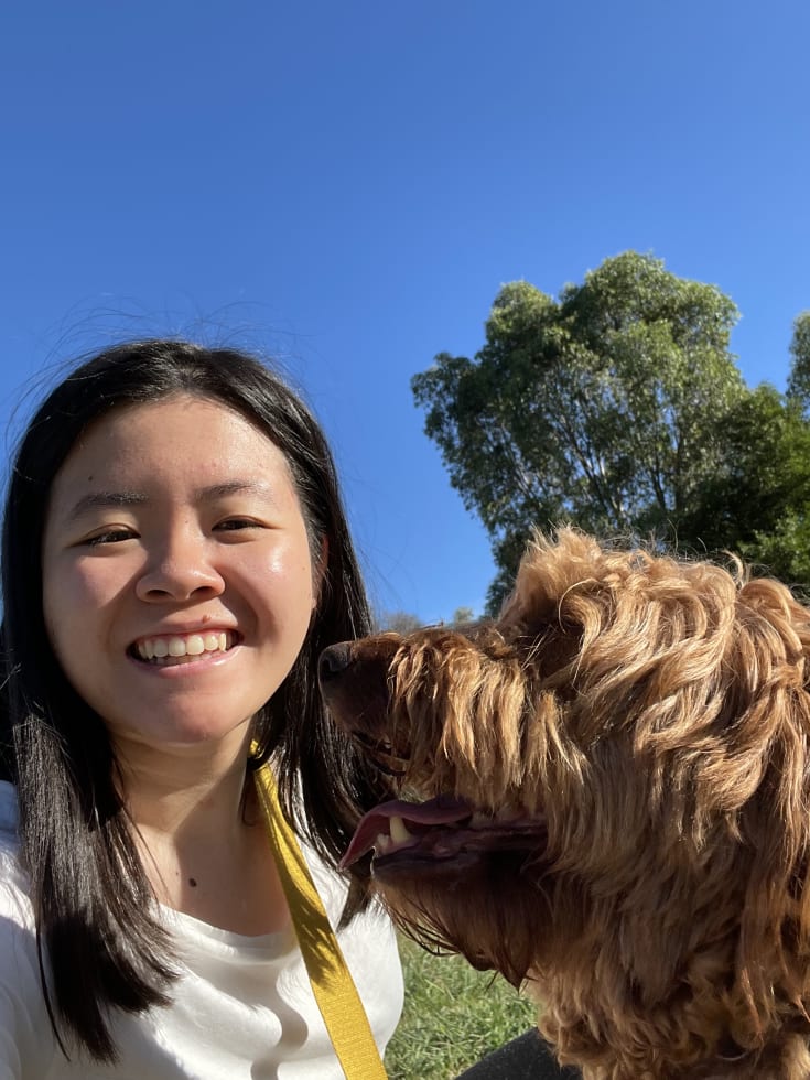 Photo in Sitter's gallery