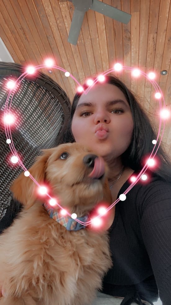 Photo in Sitter's gallery