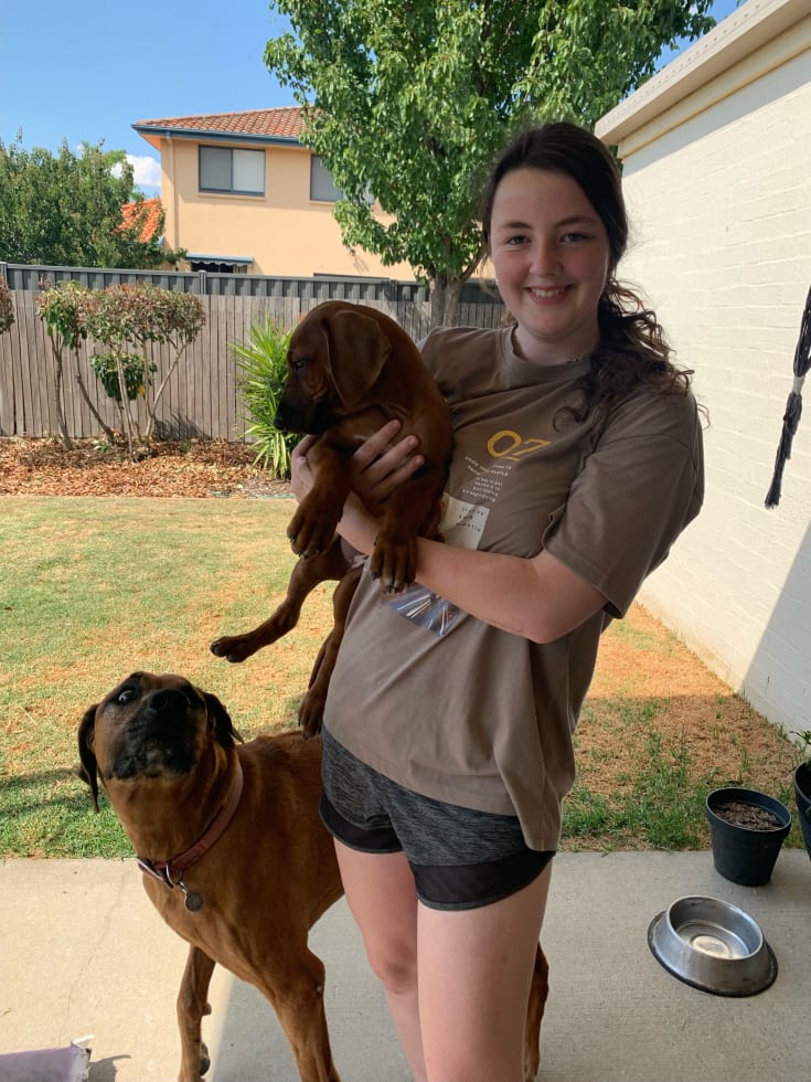 Photo in Sitter's gallery