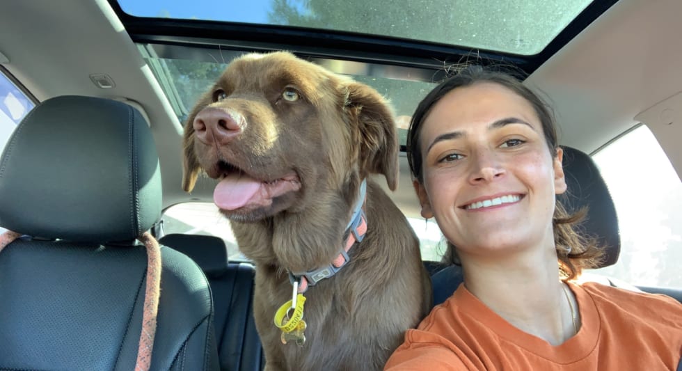 Photo in Sitter's gallery