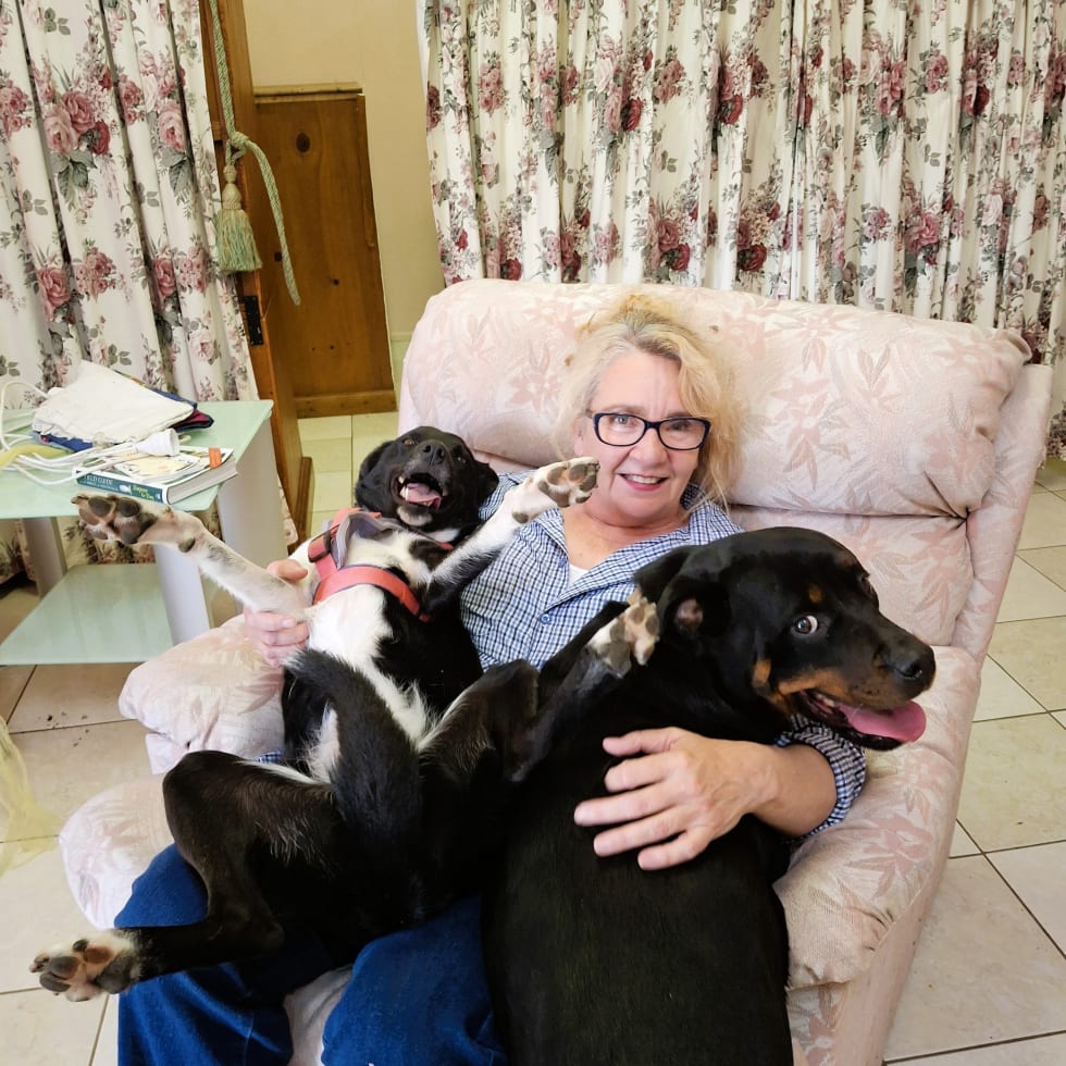 Photo in Sitter's gallery