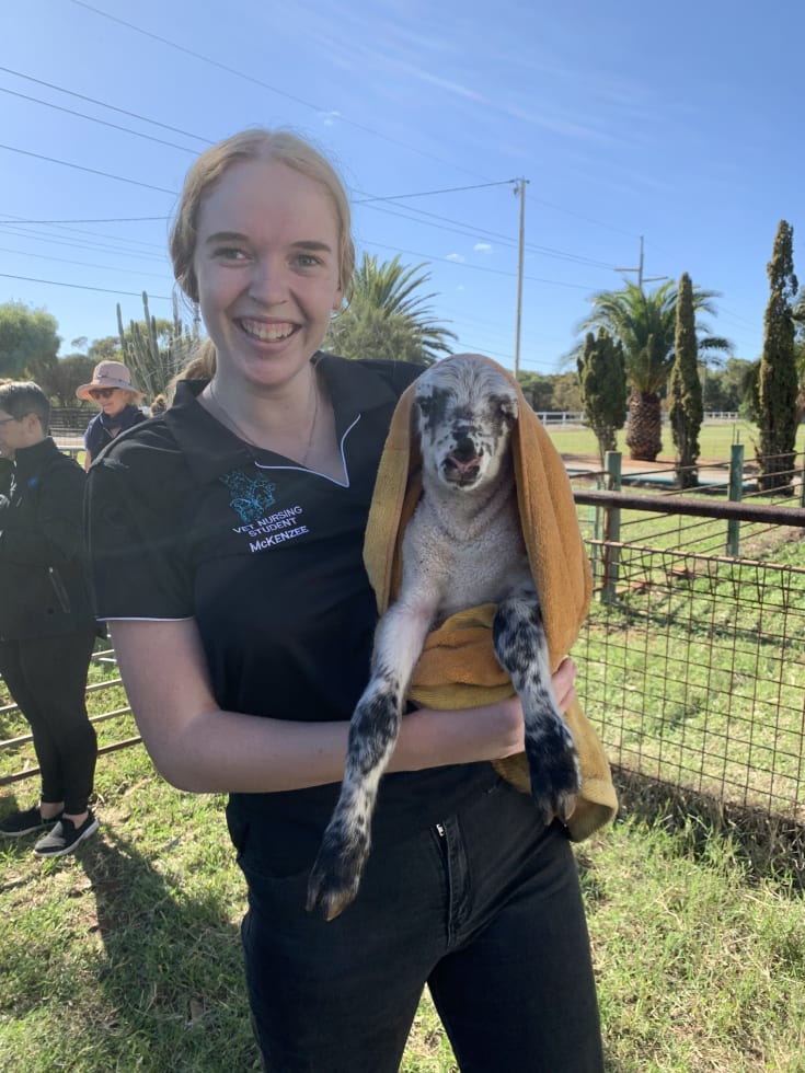 Photo in Sitter's gallery