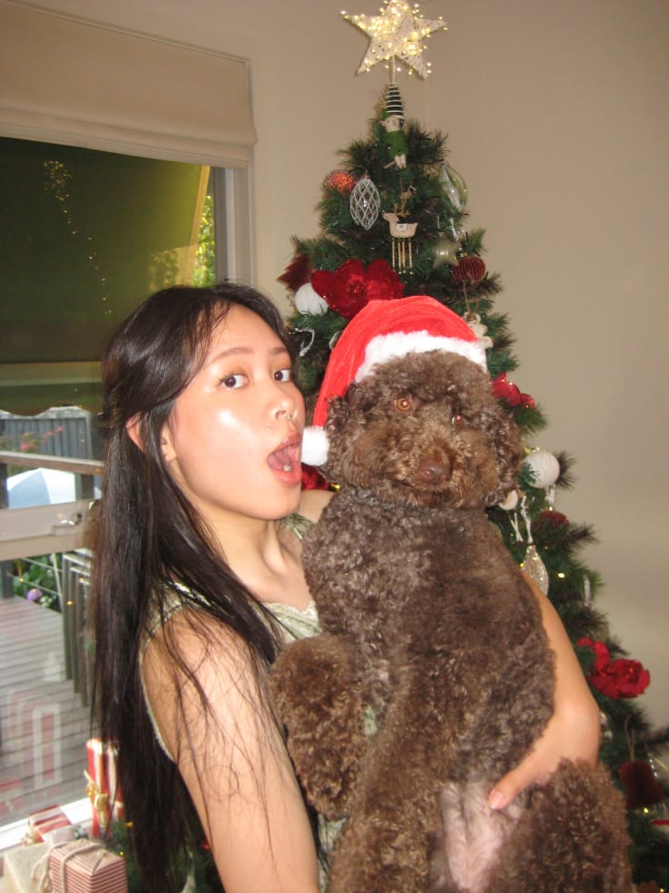 Photo in Sitter's gallery