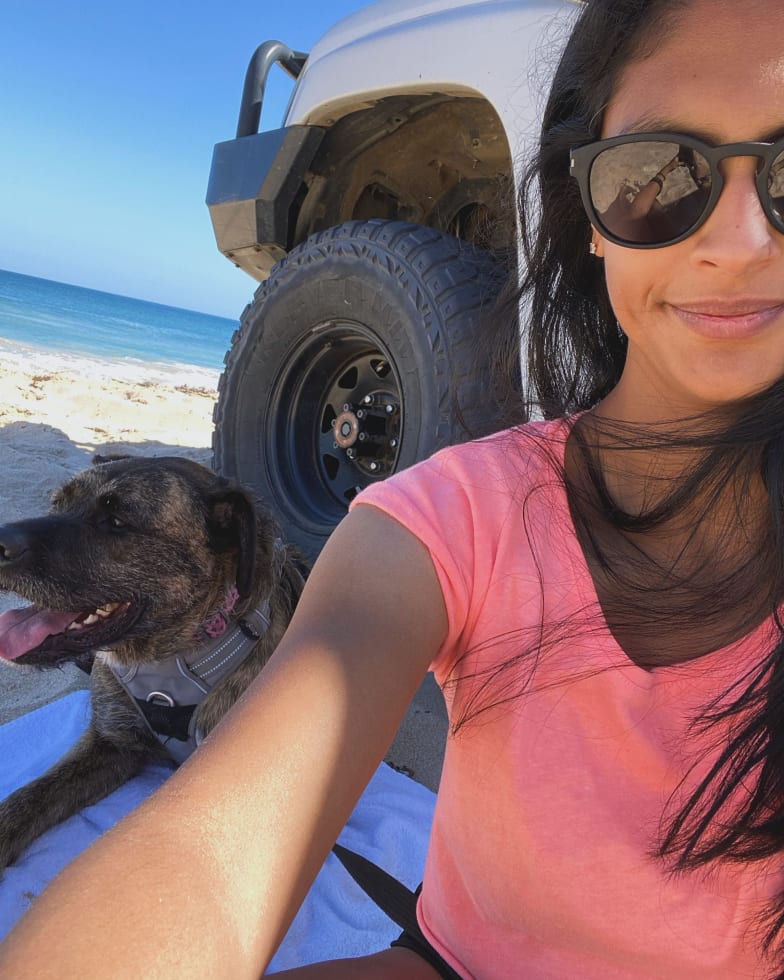 Photo in Sitter's gallery