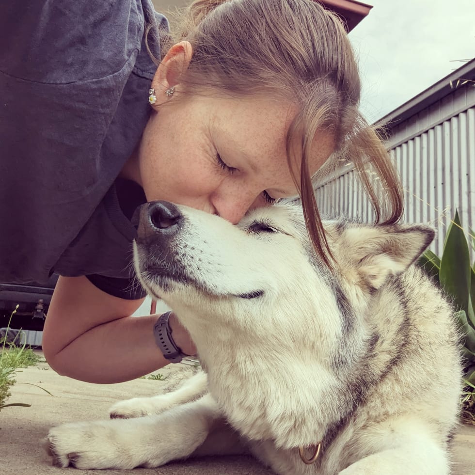 Photo in Sitter's gallery