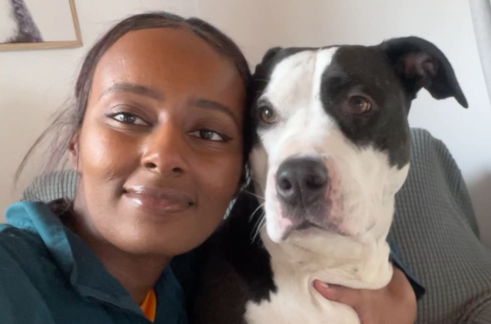 Photo in Sitter's gallery