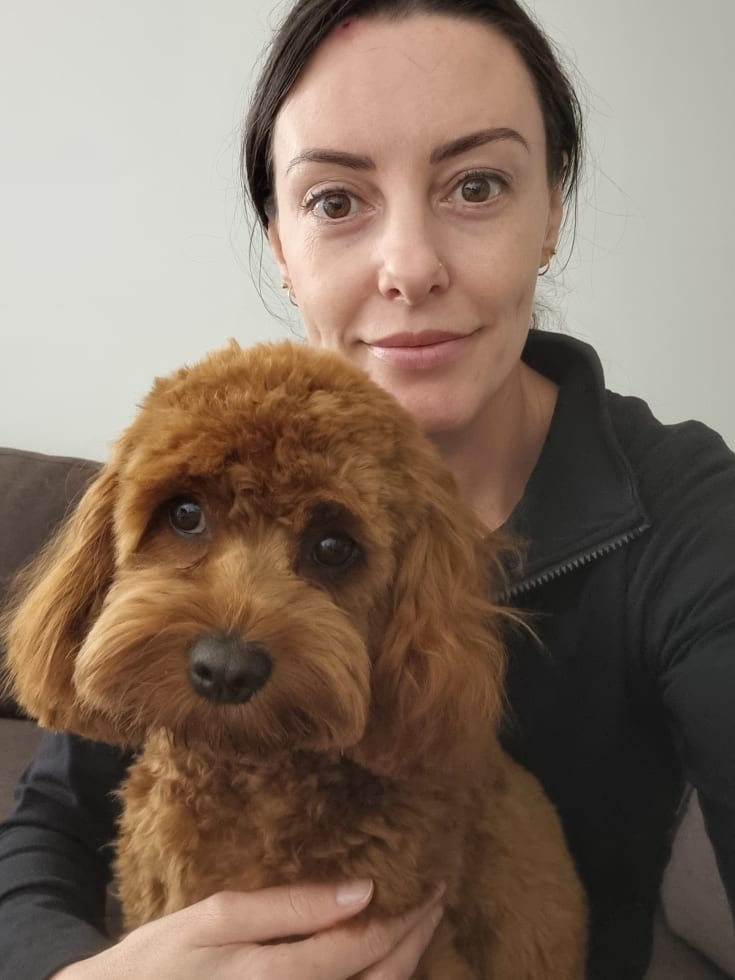 Photo in Sitter's gallery