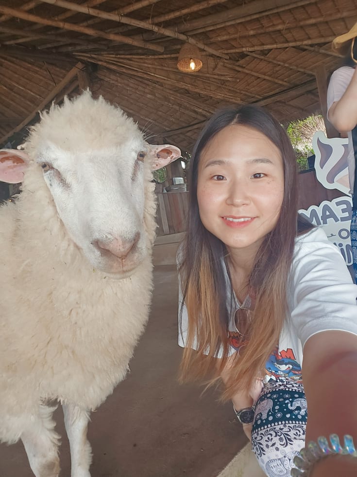 Photo in Sitter's gallery