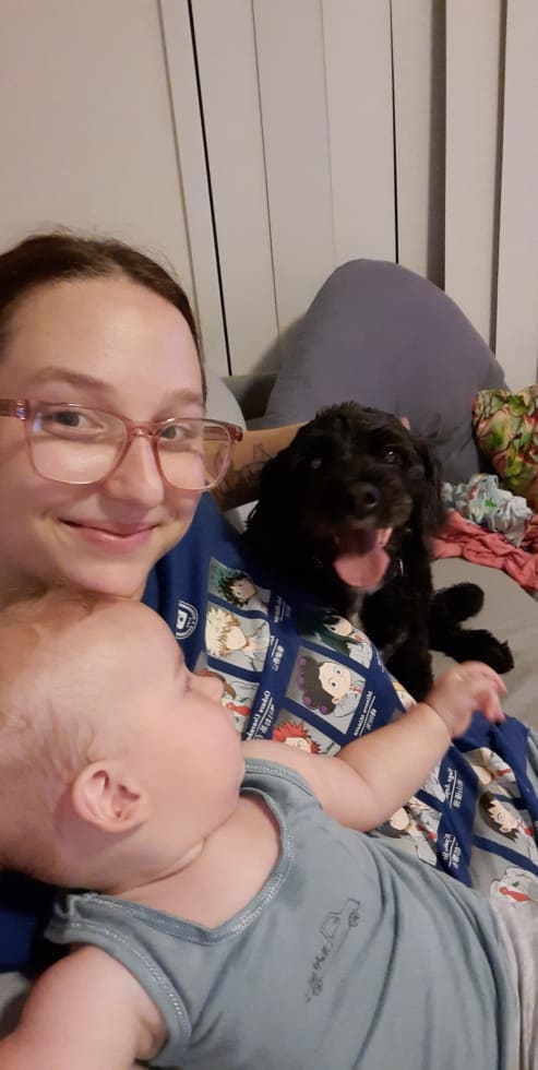 Photo in Sitter's gallery