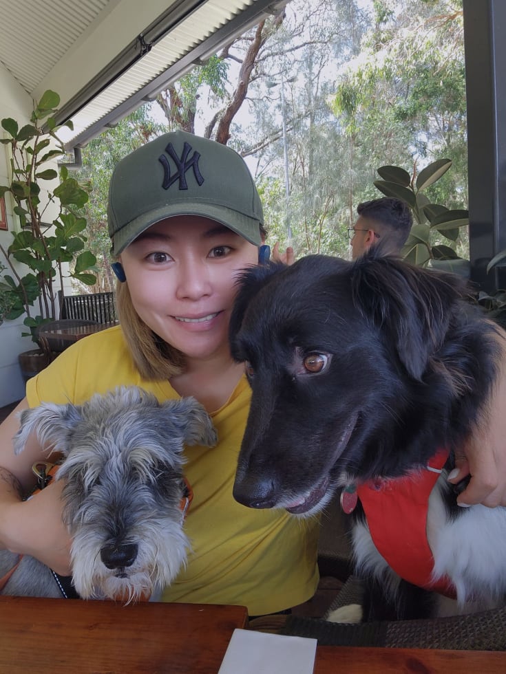 Photo in Sitter's gallery