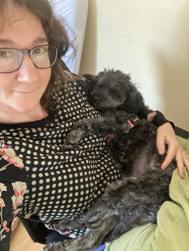 Photo in Sitter's gallery