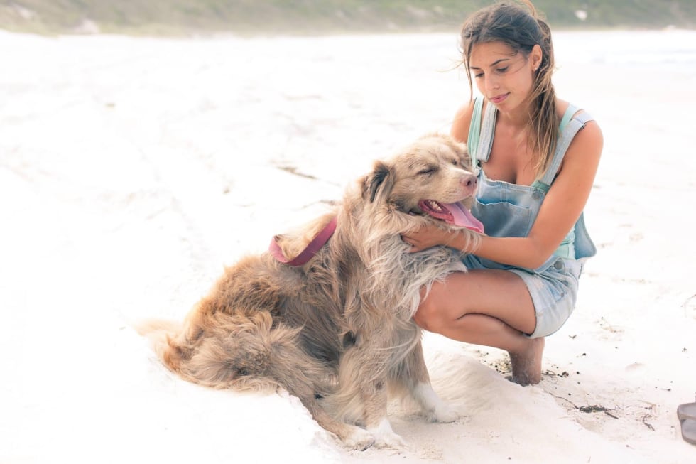 Photo in Sitter's gallery