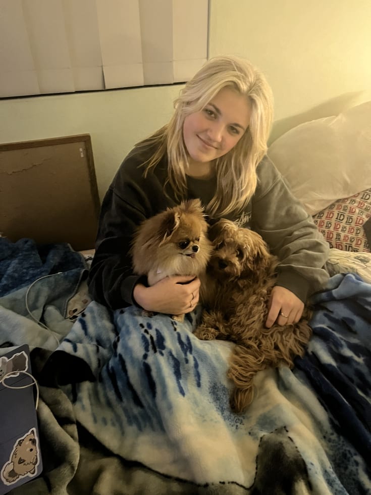 Photo in Sitter's gallery