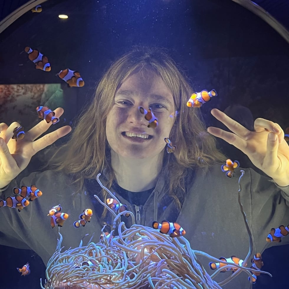 Photo in Sitter's gallery