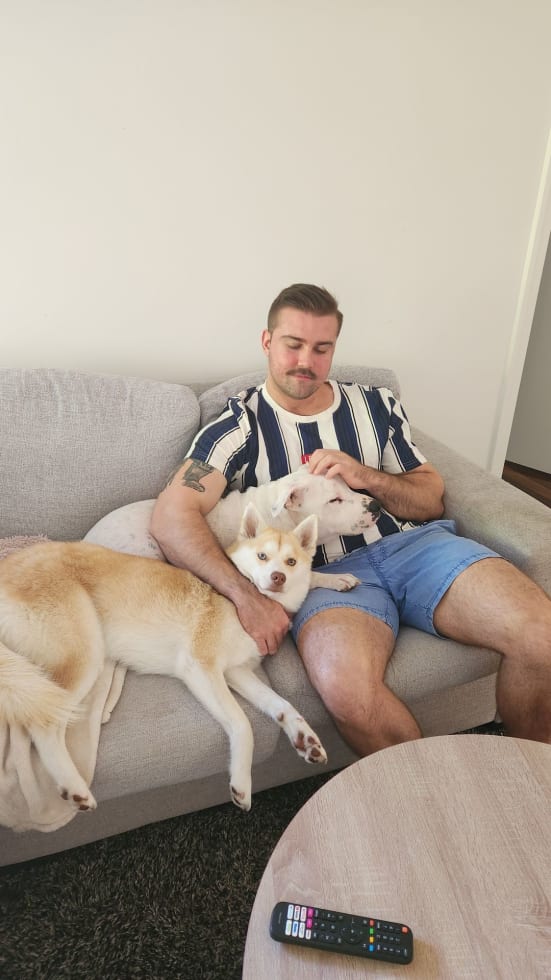 Photo in Sitter's gallery