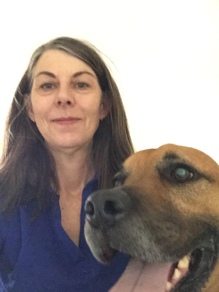 Photo in Sitter's gallery