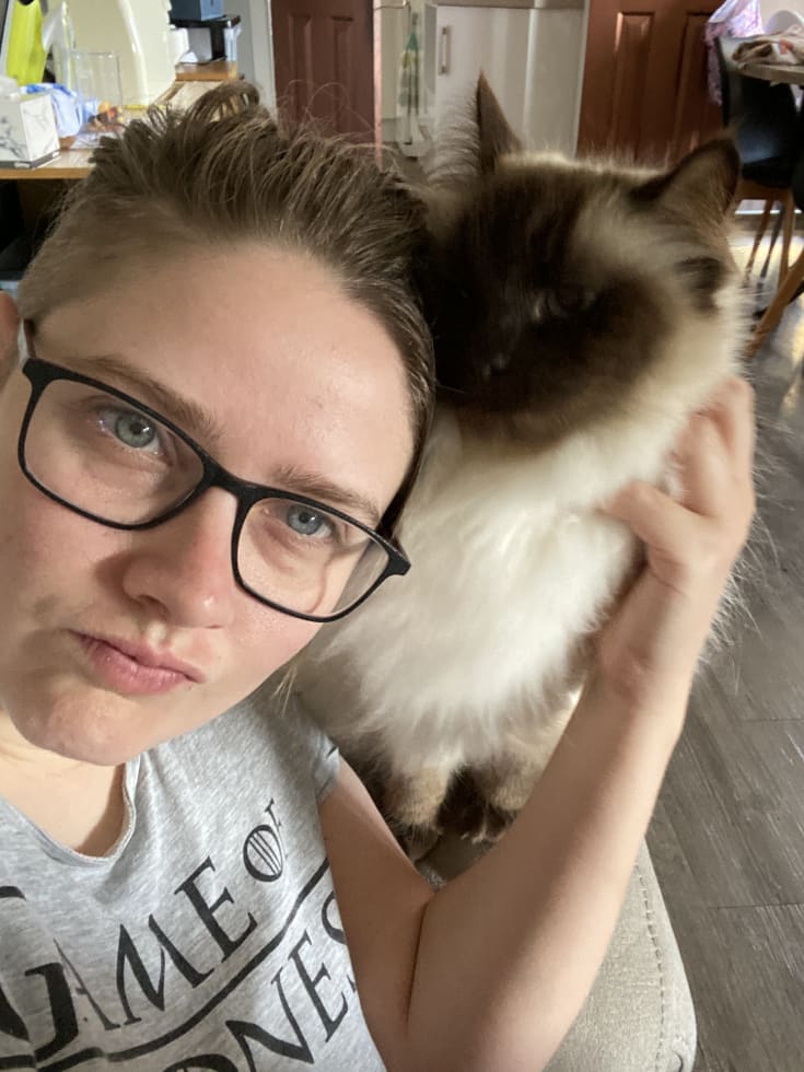 Photo in Sitter's gallery