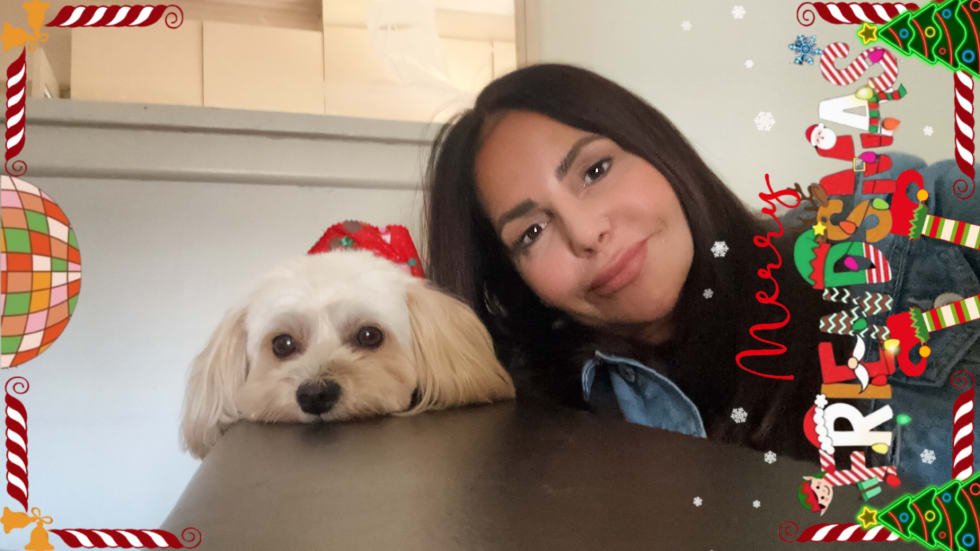 Photo in Sitter's gallery