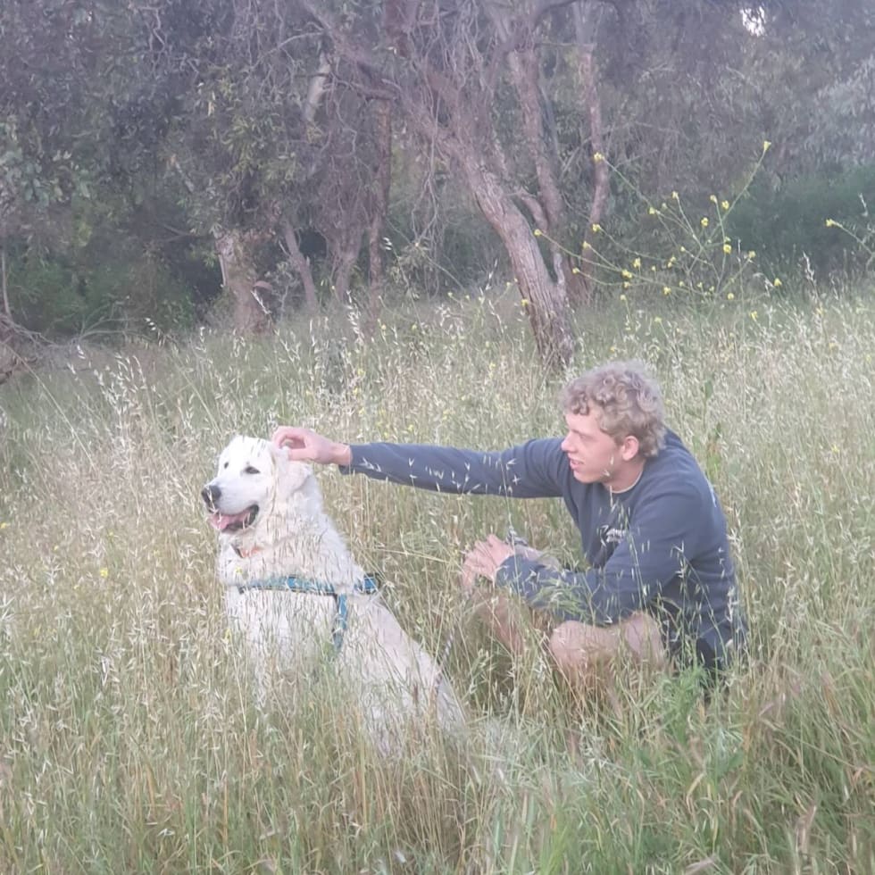 Photo in Sitter's gallery