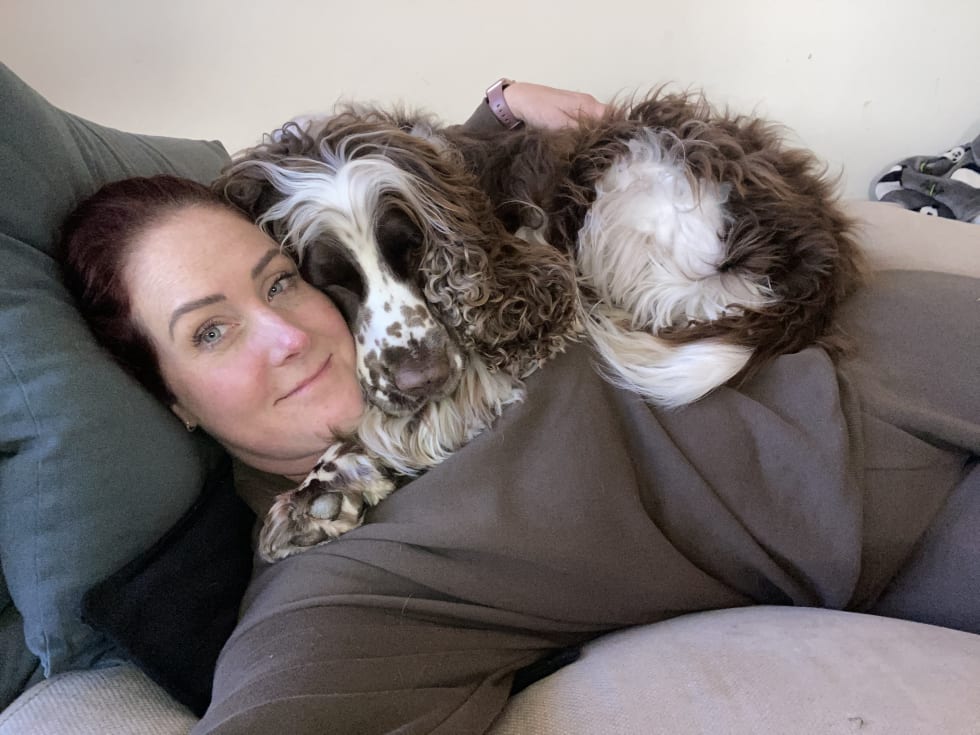 Photo in Sitter's gallery