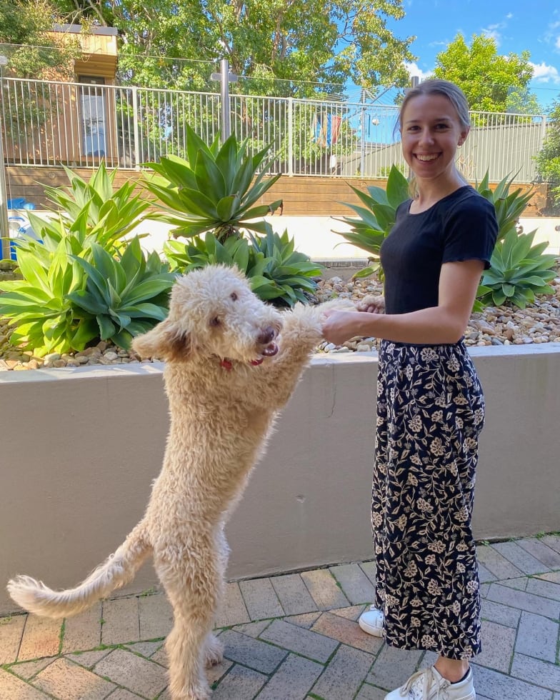 Photo in Sitter's gallery