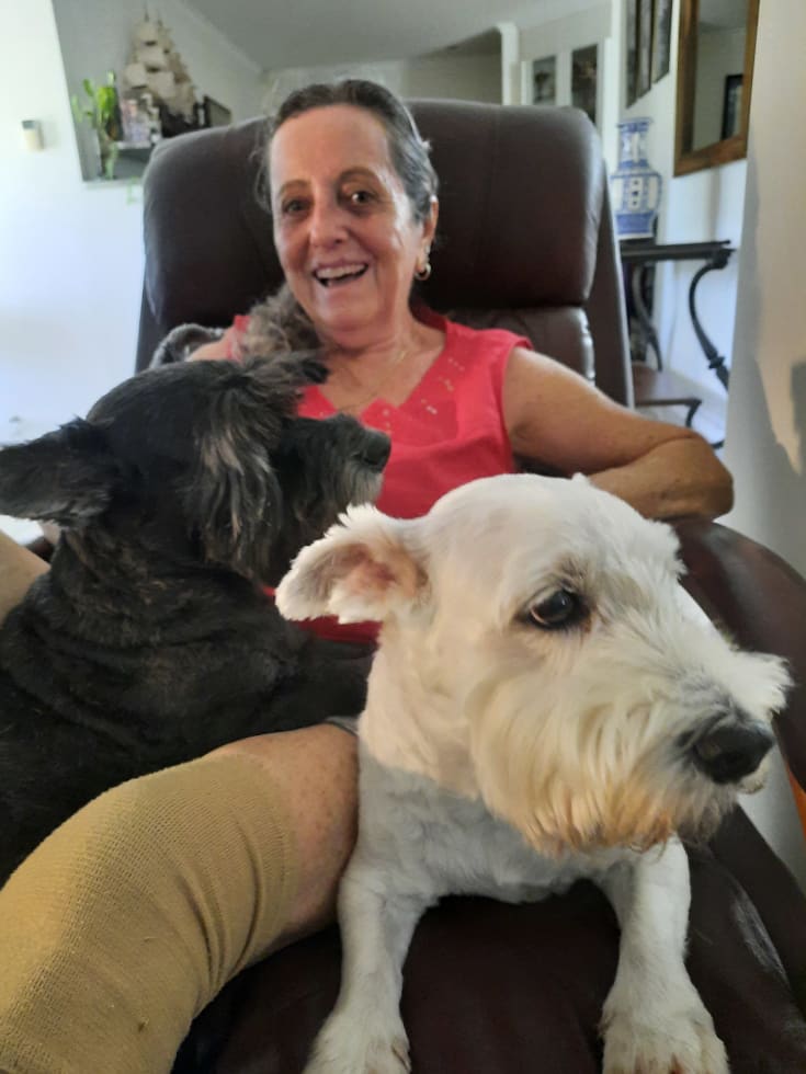 Photo in Sitter's gallery