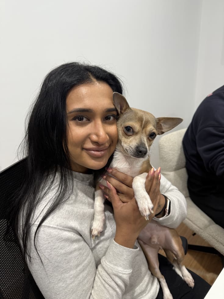 Photo in Sitter's gallery