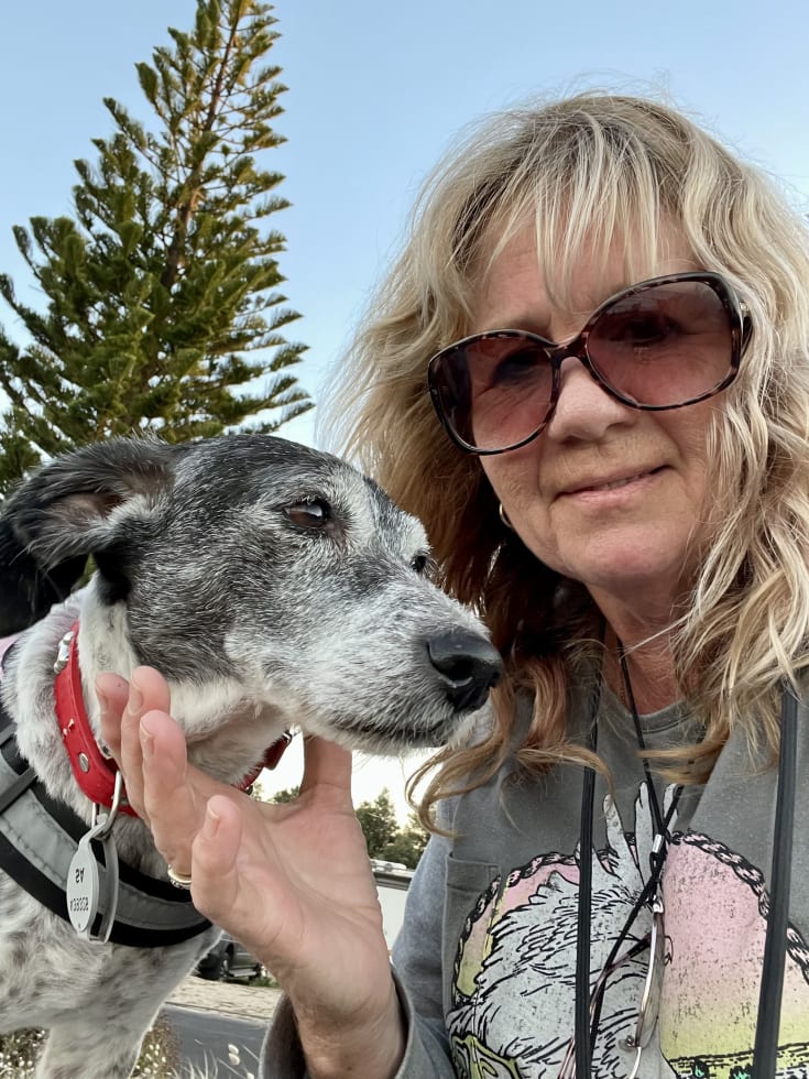 Photo in Sitter's gallery